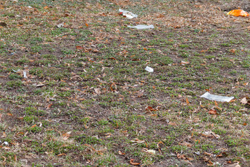 dirty lawn with scattered transparent plastic bags, stone wall in the background. plastic pollutes the environment concept.