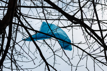 Blue plastic bag on the branches of a tree on the white sky background.  Increasing of...
