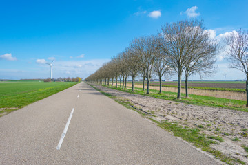 Fototapeta na wymiar Road along a field with trees below a blue sky in spring