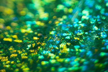 Defocused green background. Defocused bokeh light. Lens flare effect.