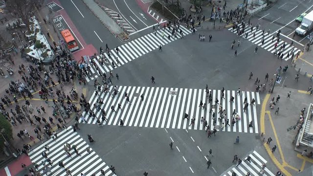TOKYO, JAPAN - CIRCA MARCH 2019 : QR CODE look alike black and white pattern (CAN NOT SCAN THIS) to scan via smartphone.  SHIBUYA SCRAMBLE CROSSING background.