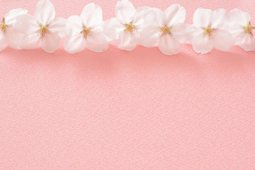 桜の花　桃色の布