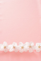 桜の花　桃色の布