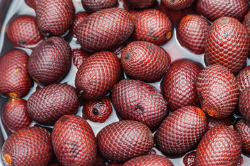 Mauritia flexuosa Aguaje. Exotic fruit of America