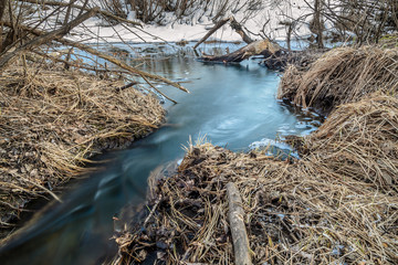 Beautiful transparent spring creek