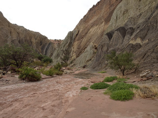 Rainbow Canyon in Talampaya National Park, located in the east/centre of La Rioja Province, Argentina. This park was designated a UNESCO World Heritage Site in 2000.