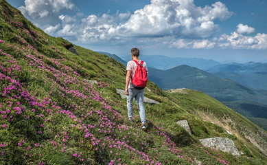 man traveler hike outdoor with backpack walks outside ascent in mountains , summer rue flowers