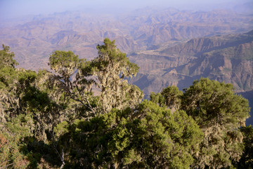 Landscape in Simien mountain
