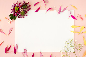 Flowers and sheet of paper on a pink background. Floral design for writing text. Chrysanthemums, gerbera petals and gypsophila on a pink feather create a romantic mood in spring and summer.