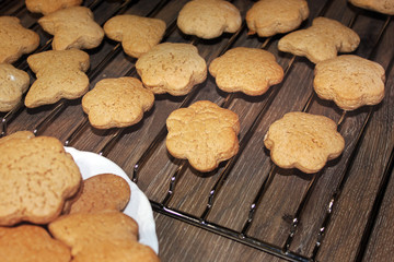 Cookies in the kitchen. Bakery products