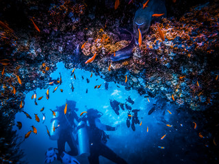 Divers exploring coral reef and cave with lots of fish and moray eel