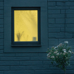 Golden light from a window in contrast to deep blue wall with flowers