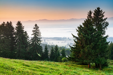Idyllic Bavarian Landscape at Sunrise, View from Mt. Auerberg, Valley full of Fog, the Alps behind