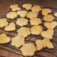 Cookies in the kitchen. Bakery products