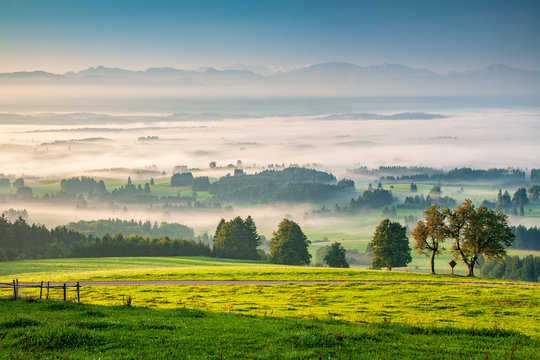 View from Mt. Auerberg at sunrise, Valley full of Fog, the Alps behind, Bavaria, Germany
