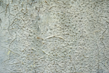 cracked color on a wall outside