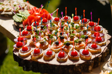 home cooking snacks lie on a plate in the nature