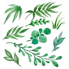 Beautiful watercolor decoration made of green hand drawn leaves vector