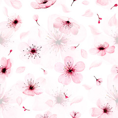 Seamless pattern with watercolor sakura branches hand painted. illustration on white background. © Artnizu