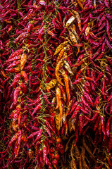Fototapeta premium Colorful dried chilli peppers at the Italian bazaar