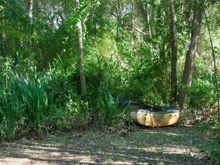 Bote abandonado entre la vegetación