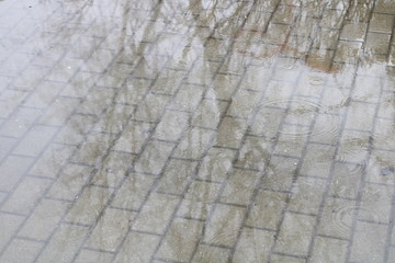 Fototapeta premium background rain paving slabs puddles
