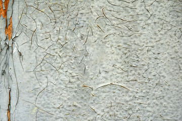 grunge texture of old weathered wood