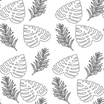 seamless floral pattern with tropical leaves, monstera on the white background can be used for textile printing or background, summer line art
