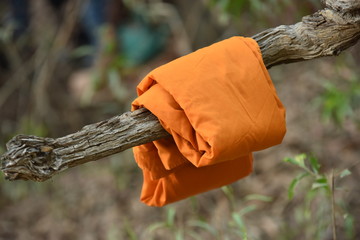 The yellow robes of Buddhist monks
