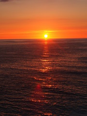 Obraz premium OLYMPUS DIGITAL CAMERA