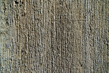 Obraz premium grunge texture of old weathered wood