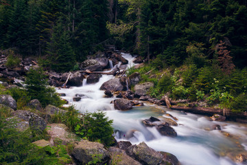 Mountain river in the Caucasus Mountains in the vicinity of Dombai Long exposure. Summer day.