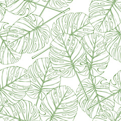 Tropical leaves seamless pattern. Vector palm monstera branch on white background.