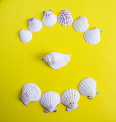 Semicircle of white seashells with big seasheel in the center on yellow background
