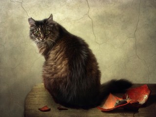 Old offended cat and broken pot