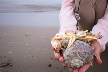 full of children's handfuls of beautiful various sea shells, sunset sun, pebble beach, wonders and childhood values