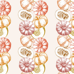 Seamless Pattern. Hand-drawn illustration of  Pumpkin, vector