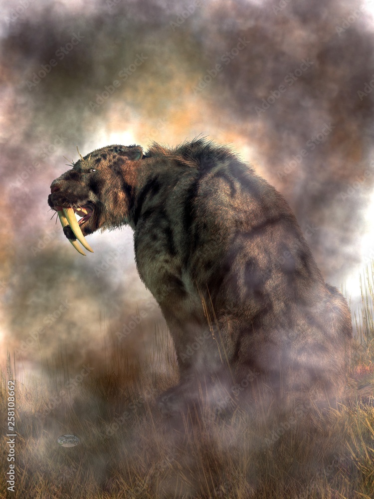 Fototapete A shaggy saber-toothed cat with a coat pattern resembling that of a cloud leopard shows you his wicked teeth in profile as he looks over his shoulder while sitting in a patch of grass. 3D Rendering 