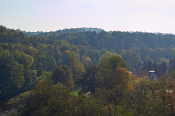 Green Forest. Beautiful view of nature. Landscape photo of green forest. Forest nature on a sunny day. Beautiful nature of Germany. Photo of forests in  Germany.