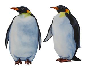 Two penguins isolated on white background - watercolor drawing