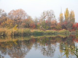 Autumn landscape in red and yellow tones reflected in the river