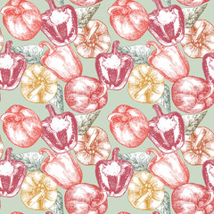 Seamless Pattern. Hand-drawn illustration of Sweet Pepper, vector