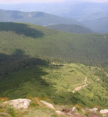  Footpath in the Carpathians