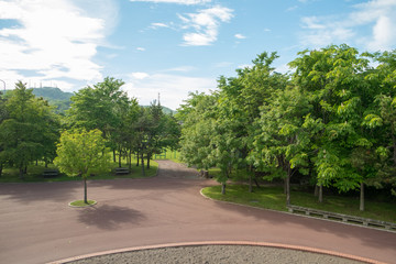 公園風景