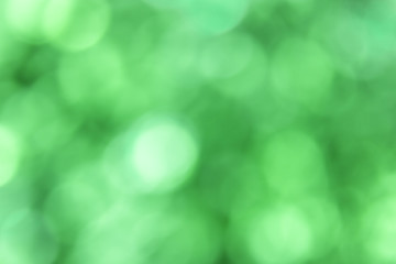 Obraz premium Abstract Blurred green bokeh background