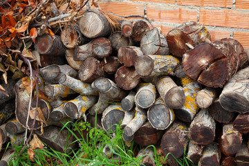 image of overgrown wooden trunks prepared to burn