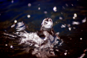 Abstrakter Hintergrund eines Tropfen 