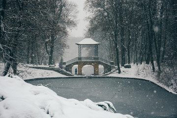 winter landscape with firs fantastic nature morning