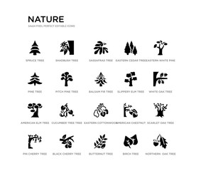 set of 20 black filled vector icons such as northern  oak tree, scarlet oak tree, white oak tree, eastern white pine birch butternut pine eastern cedar sassafras shadbush nature black icons