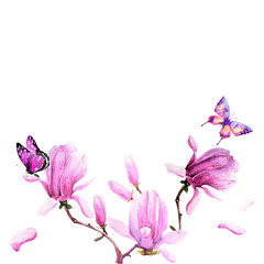 magnolia branch, beautiful pink  flowers, flowers isolated on a white background, vintage